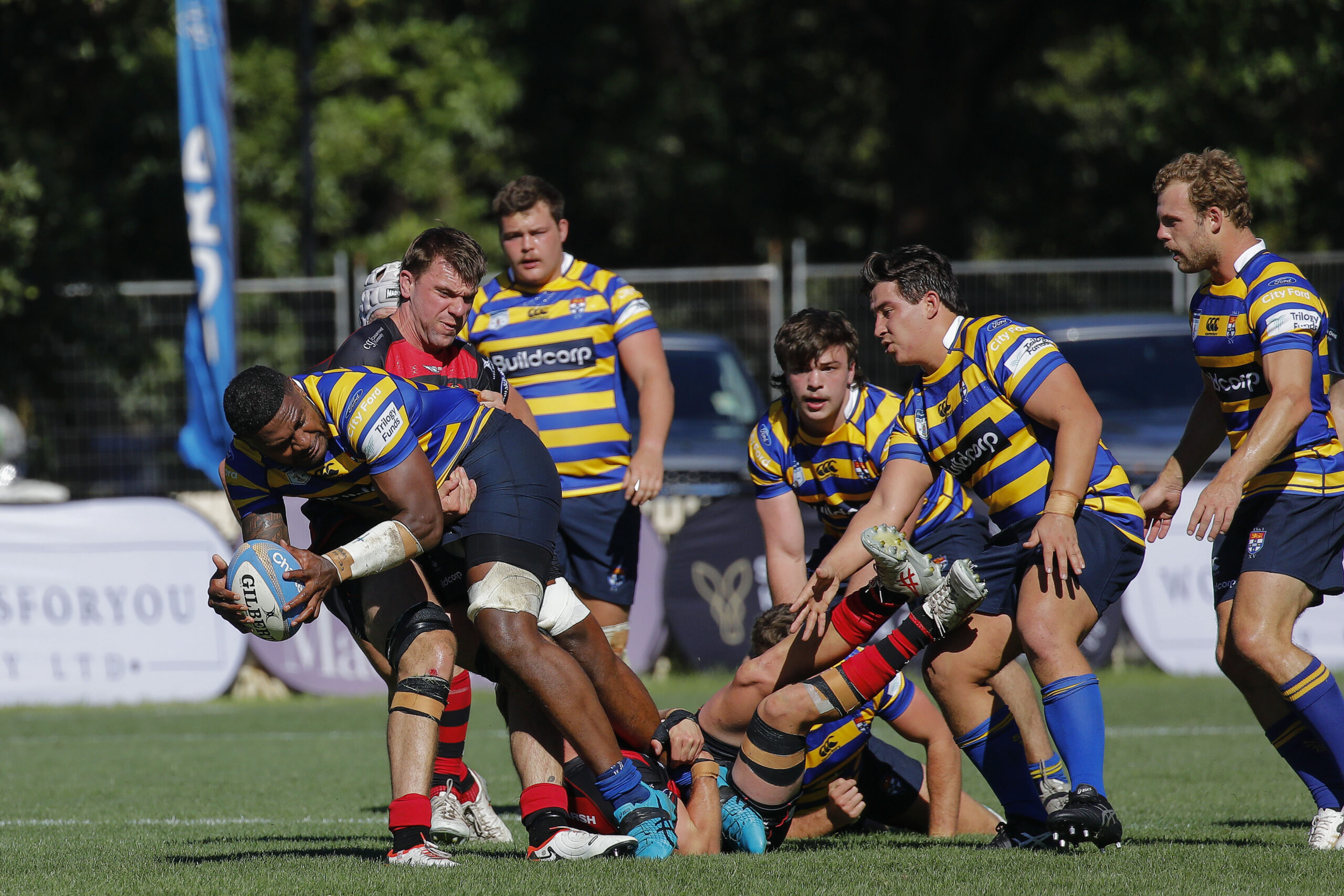 Shute Shield 2024